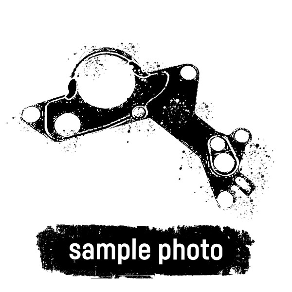 207.410, Wasserpumpendichtung, ELRING, 5412010180